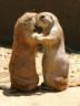 Groundhogs Kissing